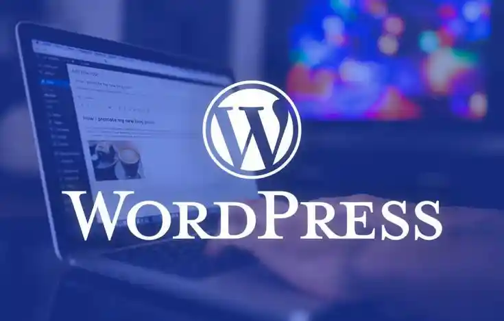 WORDPRESS DEVELOPMENT